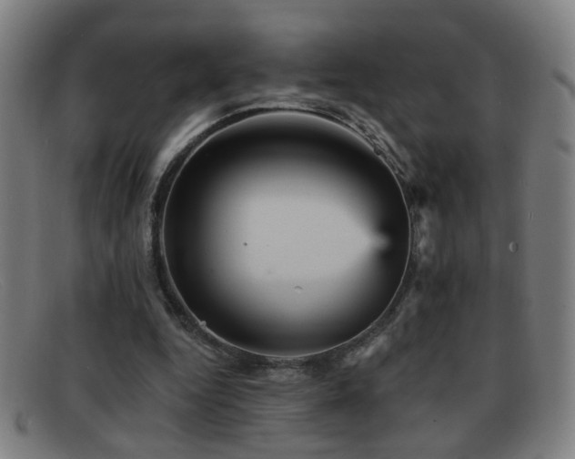 X0000092040344200709121157