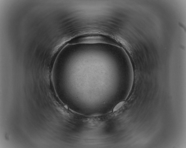 X0000092040345200709121157