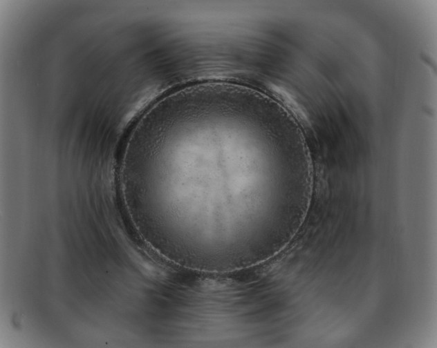 X0000092040346200709121157