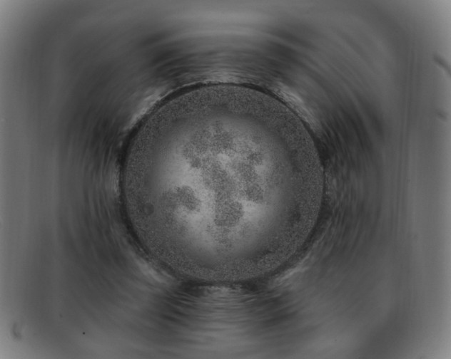 X0000092040347200709121157