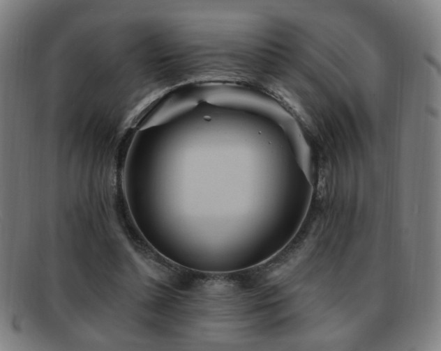 X0000092040348200709121157