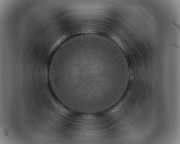 X0000092040349200709121157