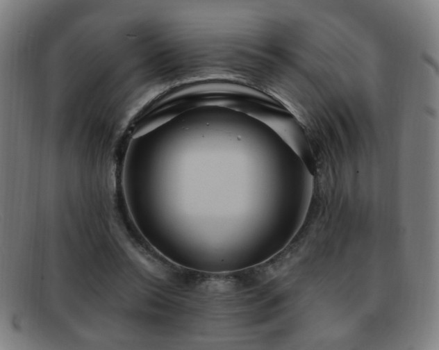 X0000092040350200709121157