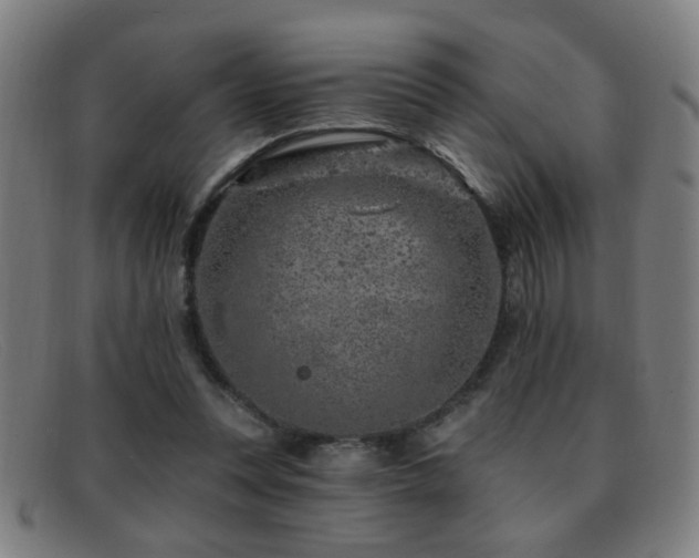 X0000092040351200709121157