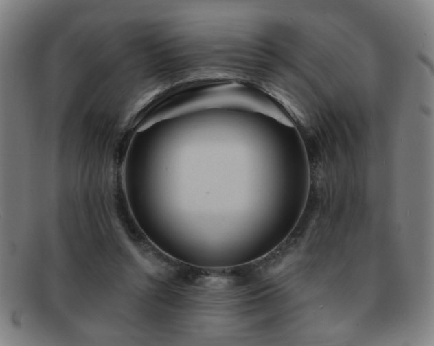 X0000092040352200709121157