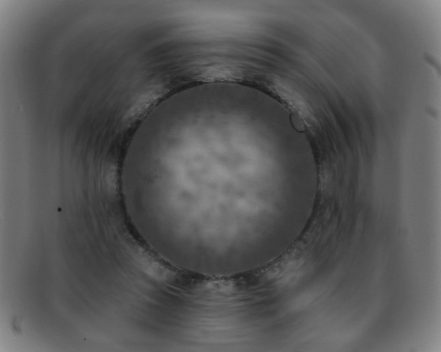 X0000092040353200709121157