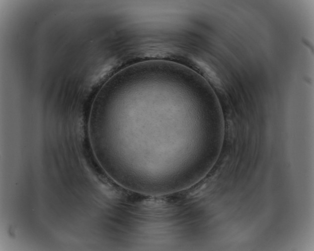 X0000092040354200709121157