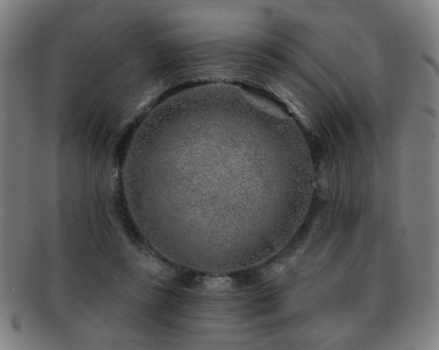 X0000092040355200709121157