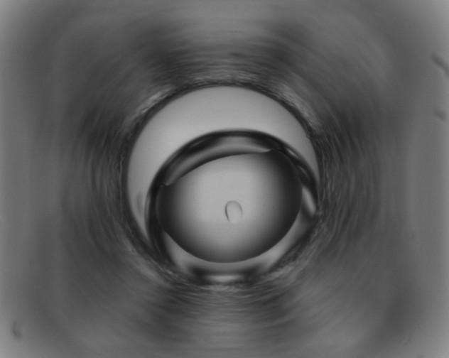 X0000092040356200709121158