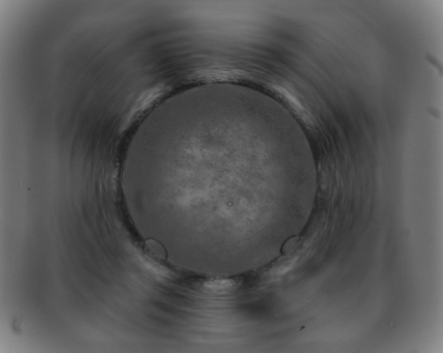 X0000092040357200709121158