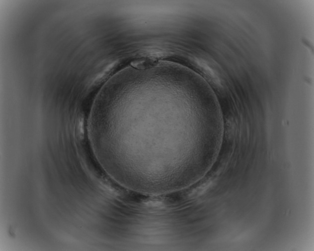 X0000092040358200709121158