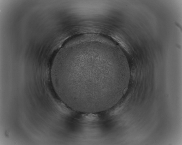 X0000092040359200709121158