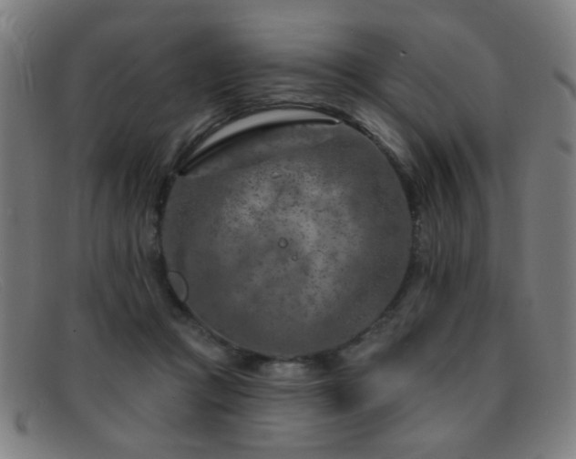 X0000092040361200709121158