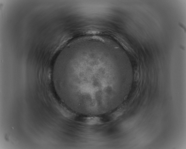 X0000092040363200709121158