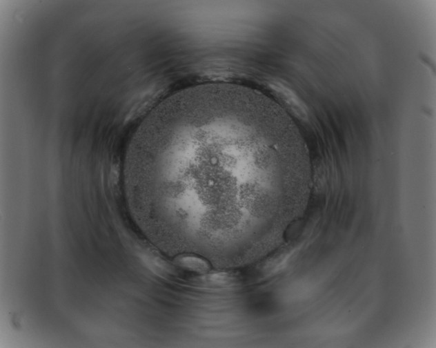 X0000092040365200709121158