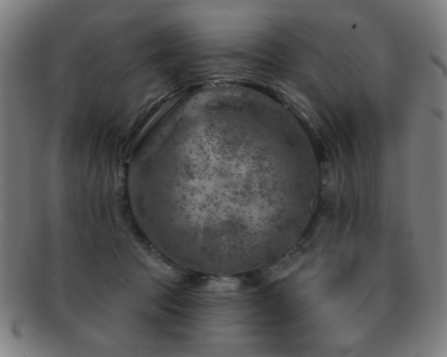 X0000092040369200709121158