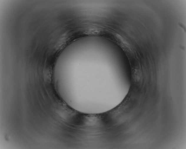 X0000092040370200709121158