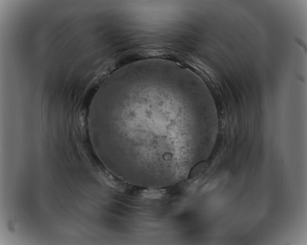 X0000092040373200709121158