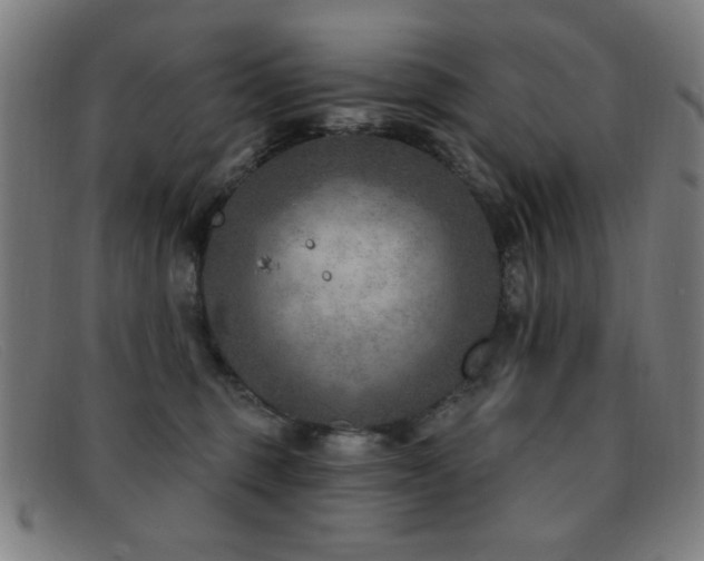 X0000092040375200709121158