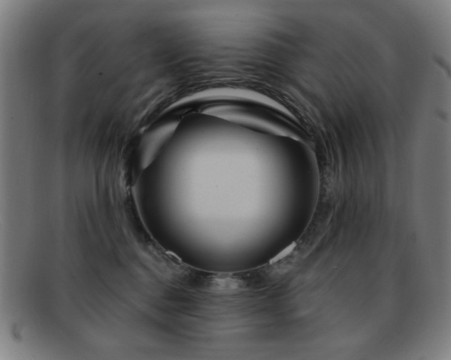 X0000092040376200709121158