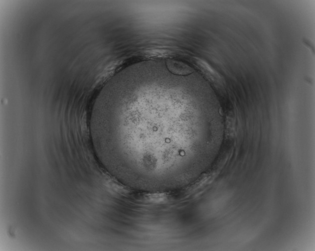 X0000092040377200709121158