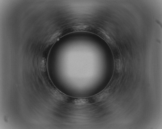 X0000092040378200709121158