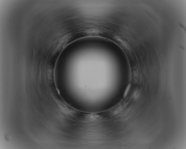 X0000092040379200709121158