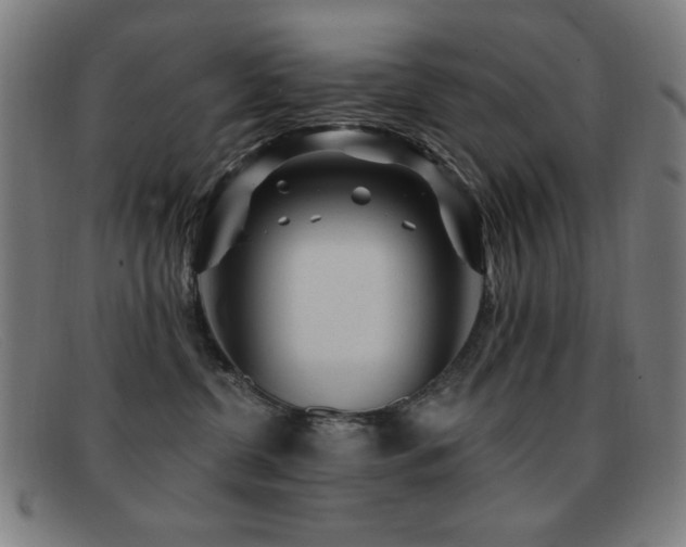 X0000092040380200709121158