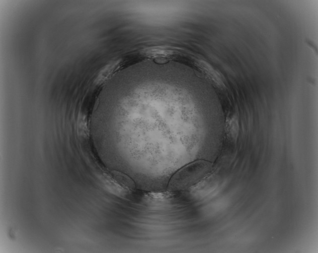 X0000092040381200709121158