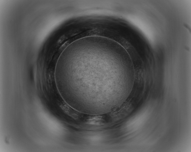 X0000092040382200709121158