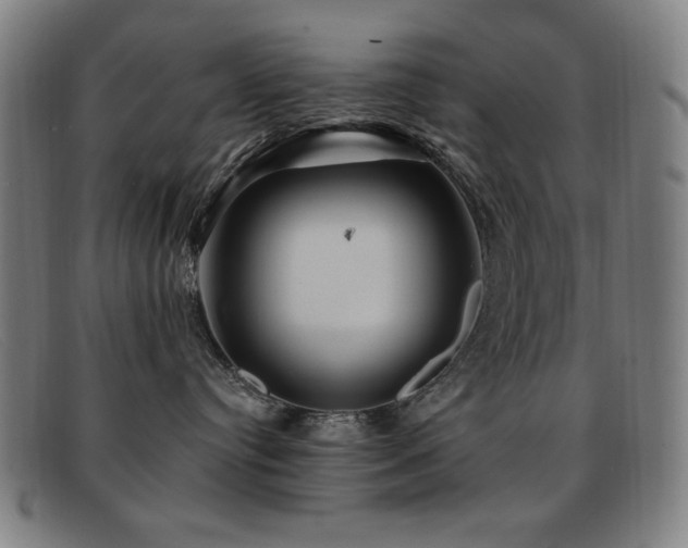 X0000092040384200709121158