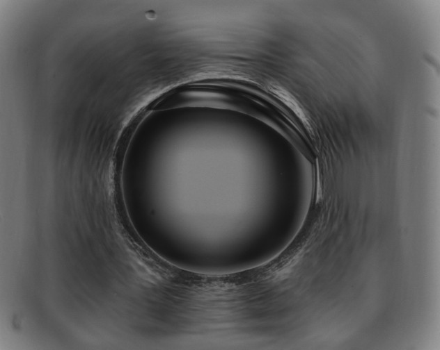 X0000092040387200709121157