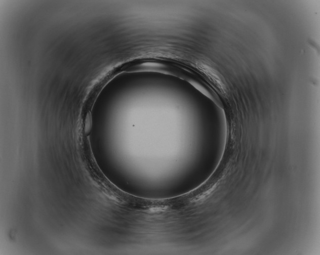 X0000092040388200709121157