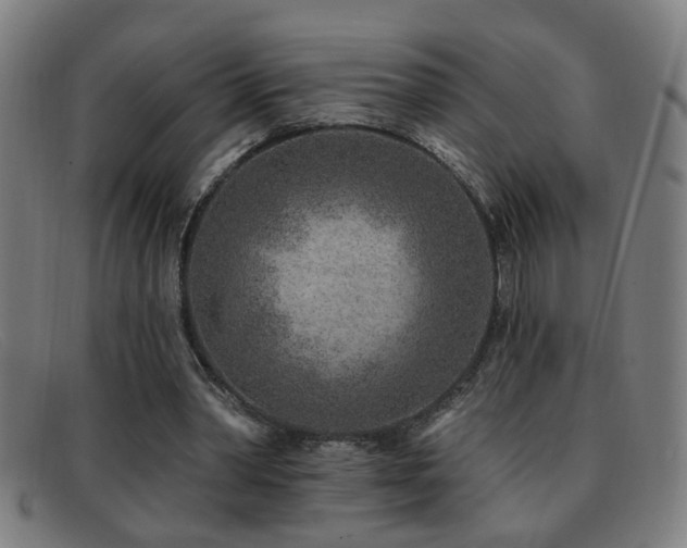 X0000092040390200709121157