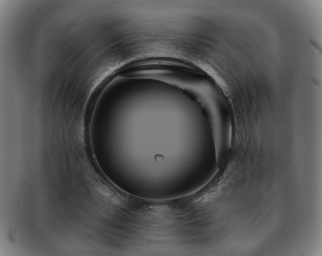 X0000092040391200709121157