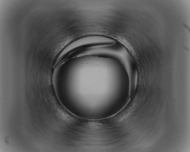 X0000092040393200709121157