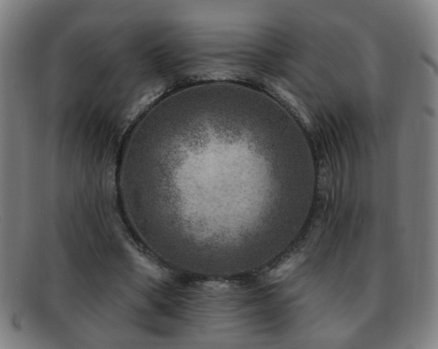 X0000092040394200709121157