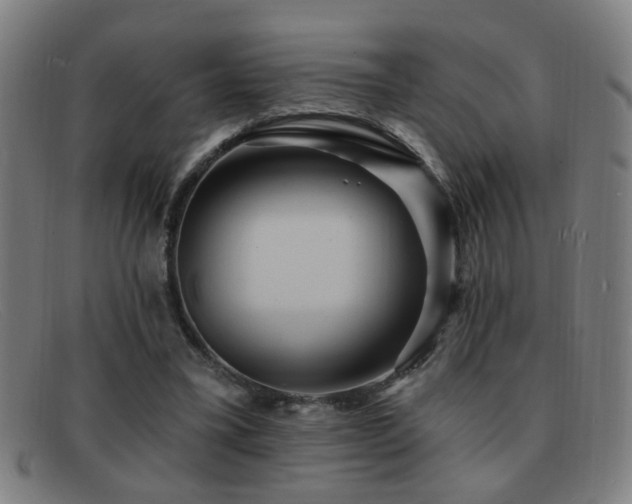 X0000092040395200709121157