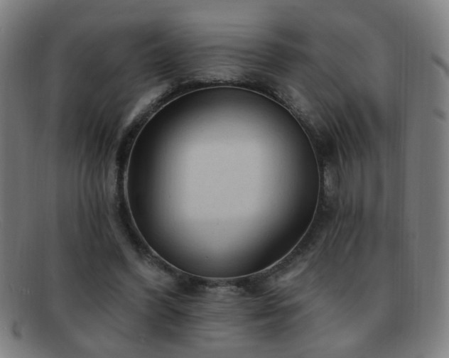 X0000092040396200709121157