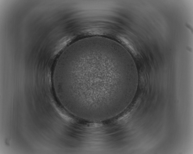 X0000092040398200709121157