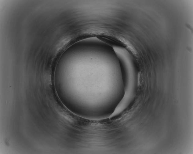 X0000092040399200709121157