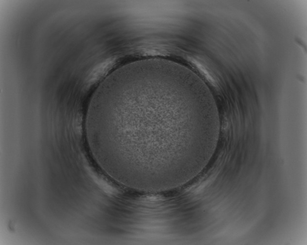 X0000092040402200709121157