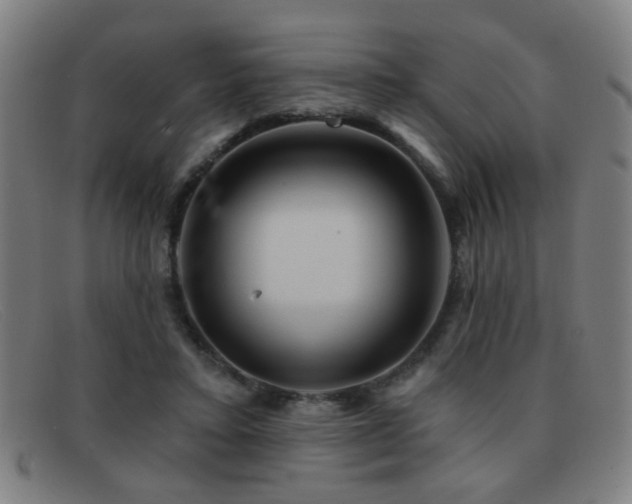 X0000092040403200709121157