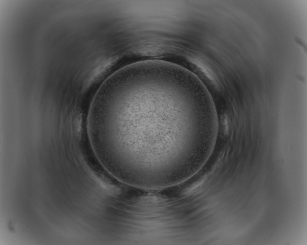 X0000092040404200709121157