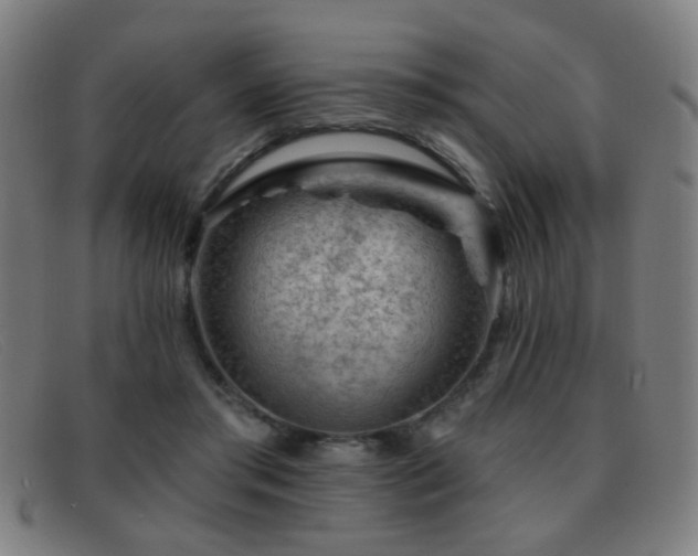 X0000092040405200709121157