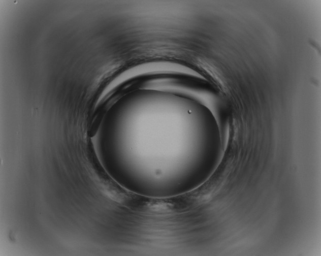 X0000092040407200709121157