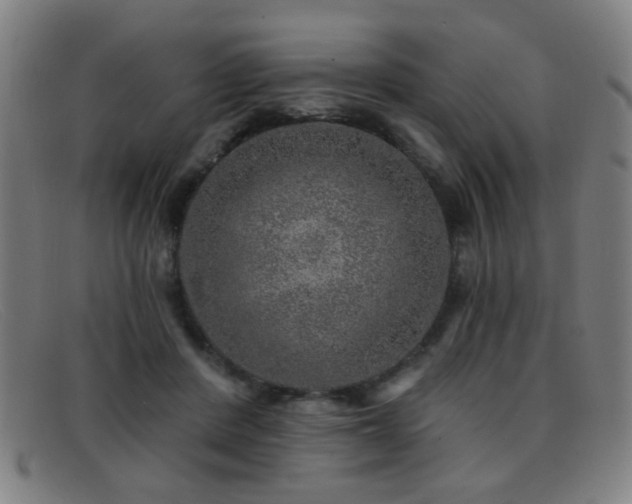 X0000092040408200709121157