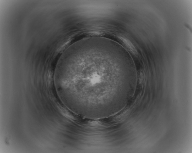 X0000092040409200709121157