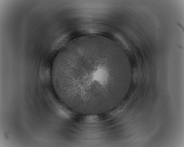 X0000092040410200709121157