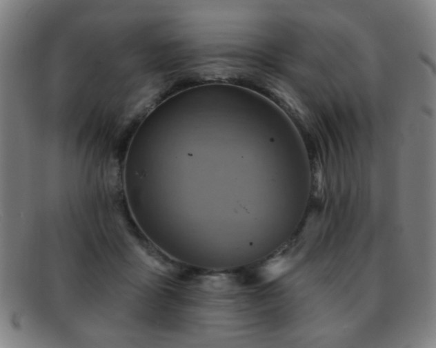 X0000092040411200709121157